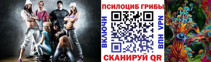 Купить закладки  Шадринск  Псилоцибиновые грибы мухоморы 